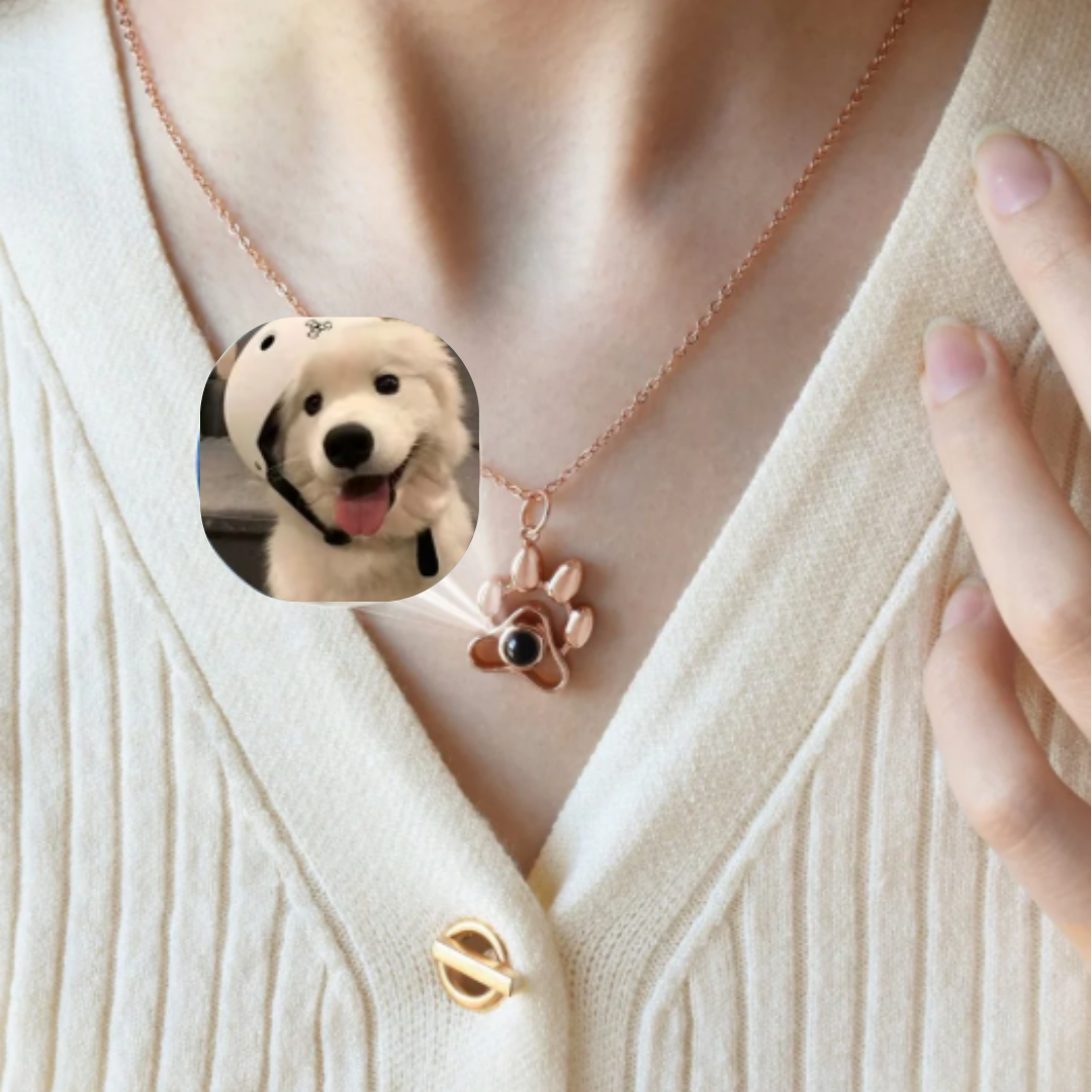 Collar Proyector con Foto de tu Mascota
